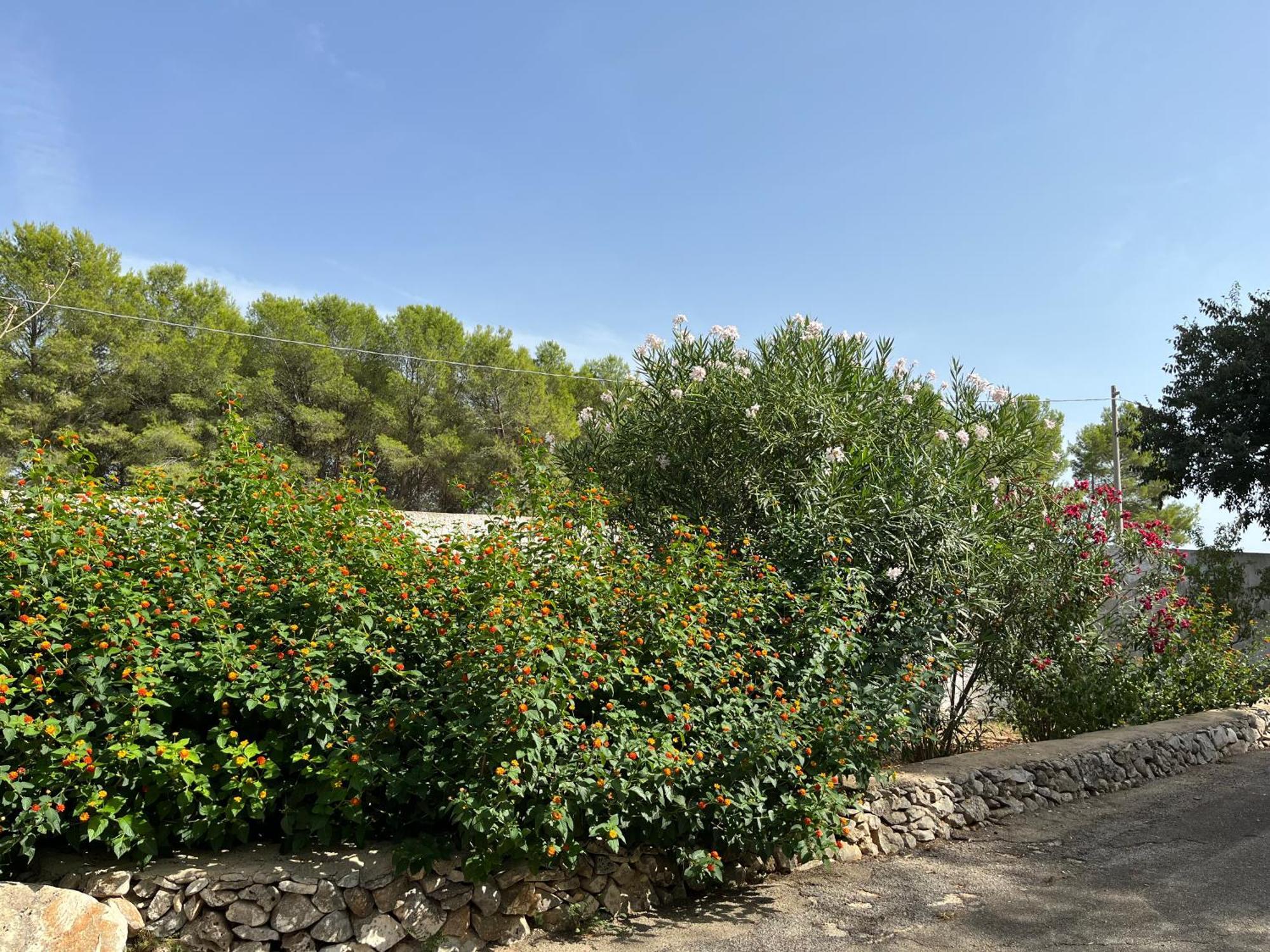 Casette Masseria La Camardia Sava Extérieur photo
