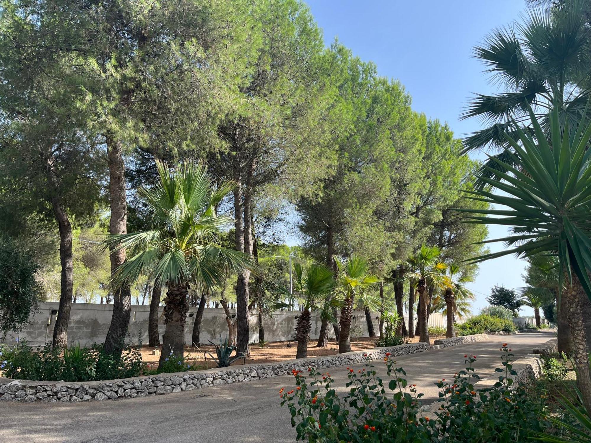 Casette Masseria La Camardia Sava Extérieur photo