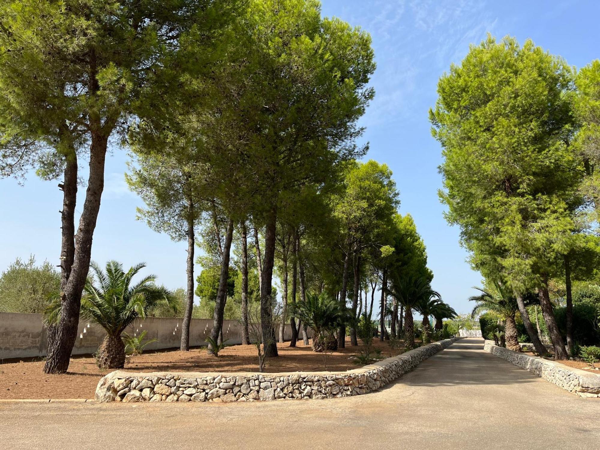 Casette Masseria La Camardia Sava Extérieur photo