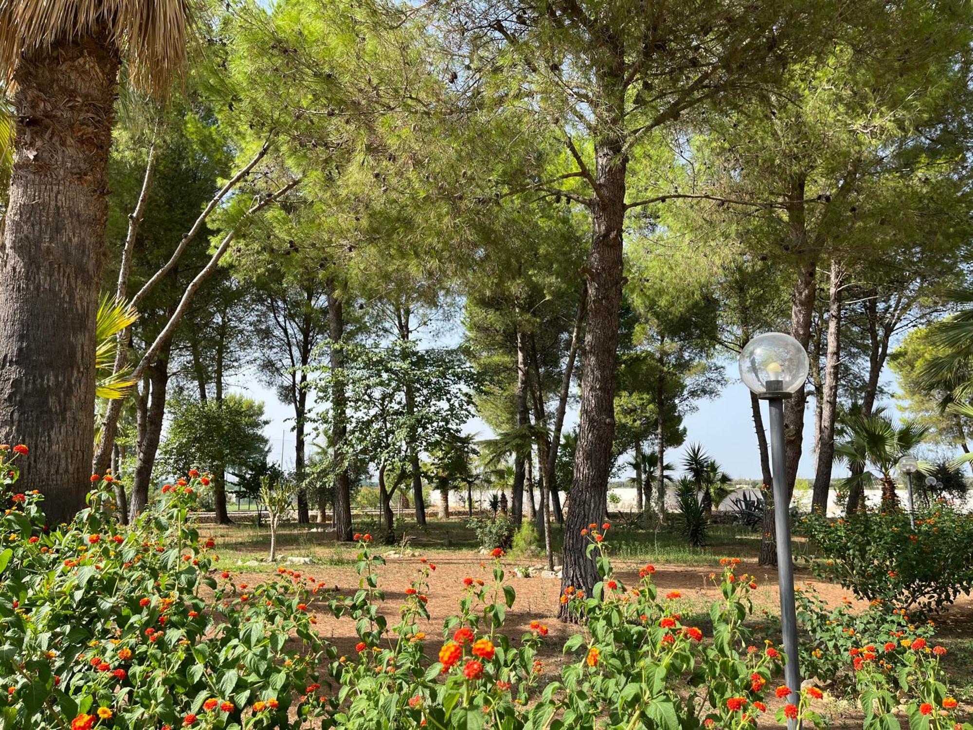 Casette Masseria La Camardia Sava Extérieur photo