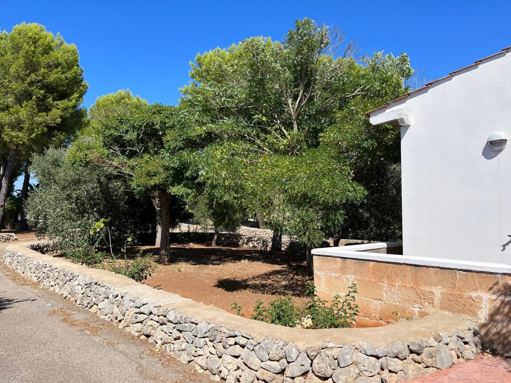 Casette Masseria La Camardia Sava Extérieur photo