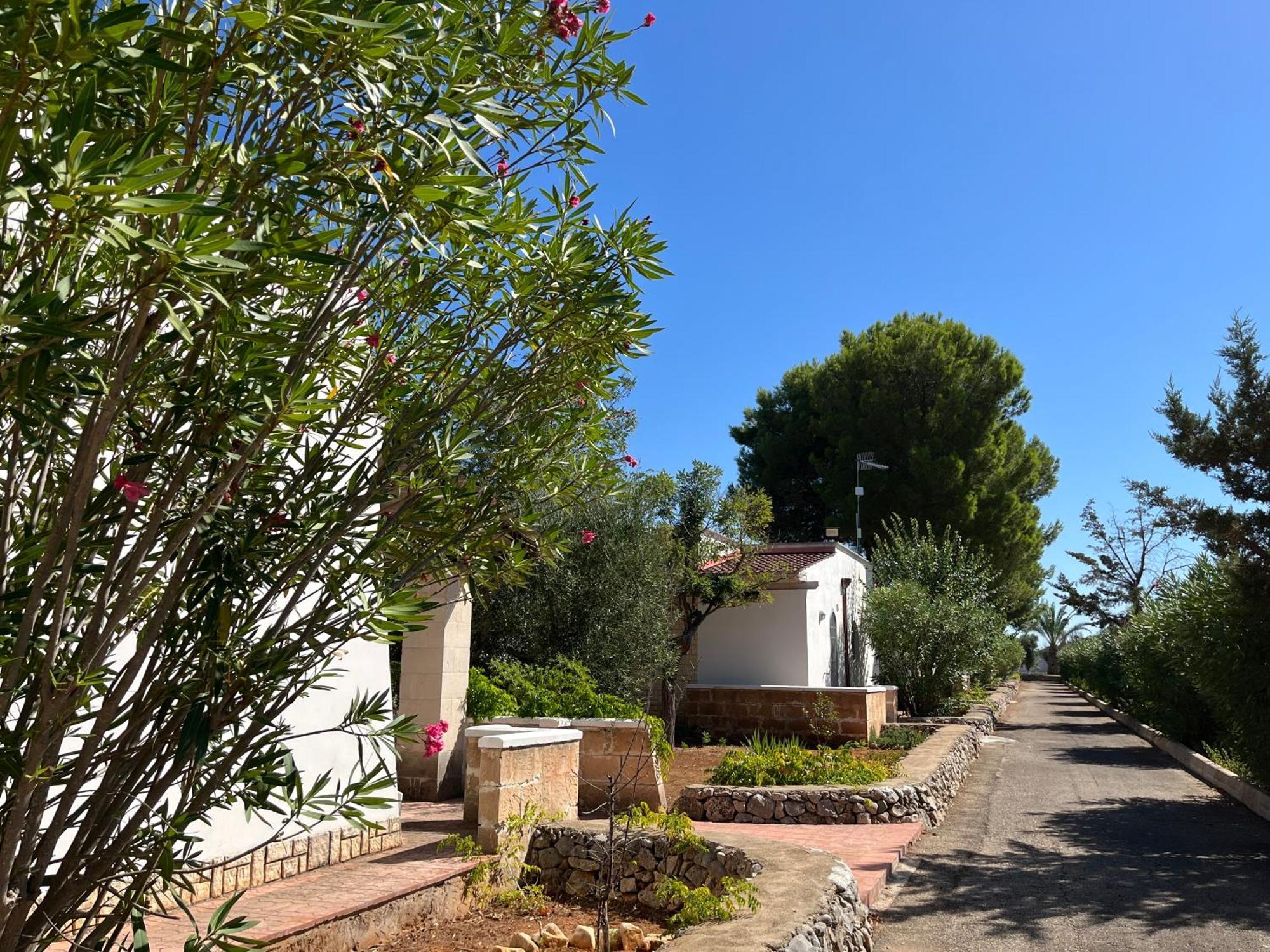 Casette Masseria La Camardia Sava Extérieur photo